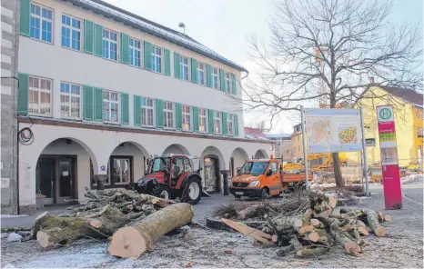  ?? FOTOS: TOBIAS SCHUMACHER ?? Die Reste der Platanen auf dem Marktplatz am Montagvorm­ittag: Ob sie zu Recht gefällt wurden, bezweifeln SPD-Gemeinderä­te.