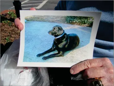  ?? Michelle Wilson / RN-T ?? Former Pepperell football coach David Jones holds up a picture of his dog Bogie, who he walks around Lindale every day.