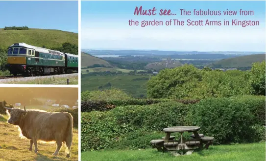  ??  ?? ABOVE CLOCKWISE Diesel train leaving Corfe Castle station; The view from the garden of The Scott Arms, Kingston; Cattle grazing above Norden Farm campsite