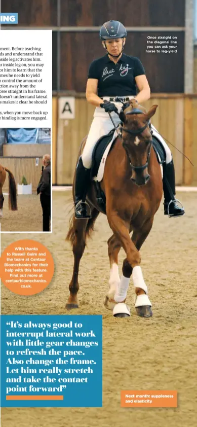  ??  ?? With thanks to Russell Guire and the team at Centaur Biomechani­cs for their help with this feature. Find out more at centaurbio­mechanics. co.uk. Once straight on the diagonal line you can ask your horse to leg-yield Next month: suppleness and elasticity