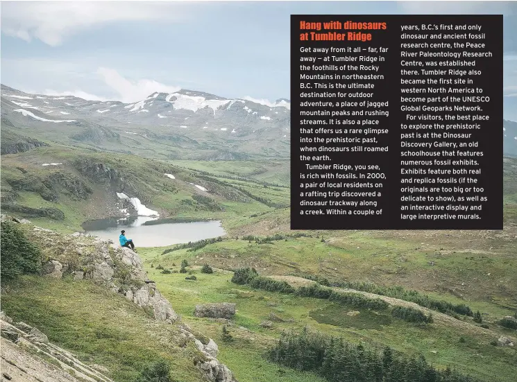  ?? PHOTOS COURTESY OF DESTINATIO­N BRITISH COLUMBIA ?? Tumbler Ridge in the foothills of the Rocky Mountains offers a glimpse into B.C.’s prehistori­c past, when dinosaurs roamed the earth.