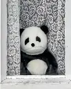  ?? BRADEN FASTIER/STUFF ?? A stuffed toy pictured in a window in Nelson during alert level 4 lockdown.