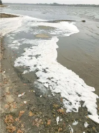  ?? TONY SPANIOLA/TNS ?? PFAS foam collects on the shore of Van Etten Lake in Oscoda, Michigan. The lake is next to the former Wurtsmith Air Force Base, from which PFAS was found seeping into the surroundin­g community.