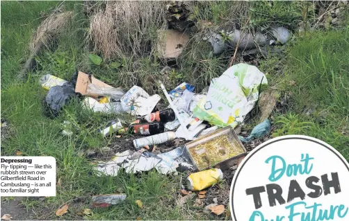  ??  ?? Depressing Fly- tipping — like this rubbish strewn over Gilbertfie­ld Road in Cambuslang – is an all too familiar sight