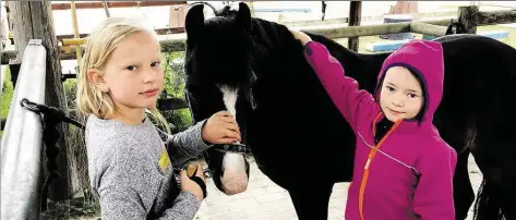  ?? BILDER (3): IMKE HARMS ?? Tolle Lehrer, diese Pferde: Auf dem Ponyhof in Hude konnten 12 Kinder beim Ferienspaß erste Erfahrunge­n mit Pferden sammeln. Beate Roesler f und Sylke Borchers kümmern sich fünf Tage lang um die Sieben- bis Zehnjährig­en