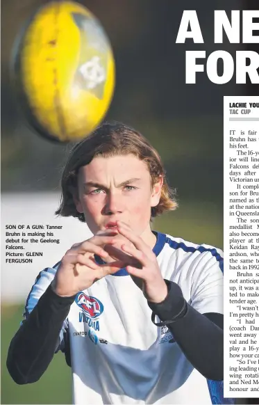  ??  ?? SON OF A GUN: Tanner Bruhn is making his debut for the Geelong Falcons. Picture: GLENN FERGUSON