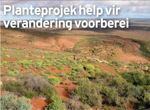  ?? FOTO’S: UTE SCHMIEDEL ?? ’n Landskap by Soebatsfon­tein, een van die gebiede waar plantsames­telling op lang termyn gemonitor word om aan te teken wat die uitwerking van veranderin­g, veral droogte, is.