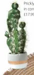  ?? ?? EVERGREEN
Prickly Pear artificial cactus in contempora­ry stone pot, £17.99, Homescapes