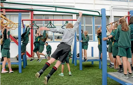  ??  ?? South Wellington Intermedia­te School playground was closed for a year because of changes in safety regulation­s. A combinatio­n of funding, including from the community, helped the facility to reopen.