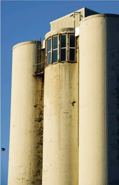  ?? ARKIVFOTO: JACOB BUCHARD ?? Prosjektet Kunstsilo trenger flere driftsmidl­er for å få støtte. Dette bildet viser en del av siloen.