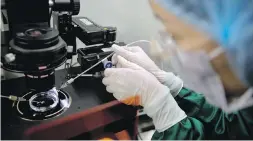  ??  ?? Zhou Xiaoqin installs a pipette into a sperm-injection microscope in preparatio­n for injecting embryos with proteins, at a lab in Shenzhen, in southern China’s Guandong province.