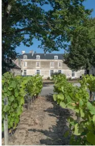  ??  ?? Vignobles Günther-chéreau. La Bourchiniè­re, château du Coing, 44690 Saint-fiacre. 02 40 54 85 24. vgc.fr