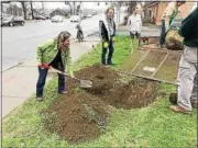  ?? DANIELLE EPTING — FOR THE RECORD ?? Capital Roots Program Manager Sharon DiLorenzo helps dig a hole for the new Turkish filbert tree in celebratio­n of Arbor Day on Federal Street in Troy.