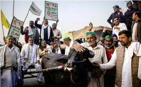  ?? Reuters ?? Farmers gather around a buffalo cart as they shout slogans during a protest against the newly passed farm bills on Wednesday.