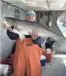  ?? PROVIDED BY HOWARD BOGAN JR. ?? An angler on the Jamaica party boat with a striped bass caught on March 30.