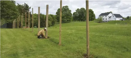  ??  ?? Putting in posts can be a tiring job that no matter the system will require some use of your most-used tool: your hands!