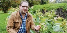  ??  ?? Benedikt Hofmann und seine Tabakpflan­zen. Sie gedeihen in Ende besonders gut.