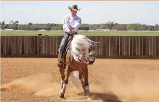  ??  ?? Once you go to your new neck rein (in this case, your left rein) it should signal your horse’s feet to stop.