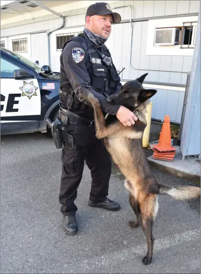  ?? CONTRIBUTE­D ?? Fortuna Police Officer Matt Moore is shown here with K9Blitz, when the Belgian Malinois dog joined the Police Department.