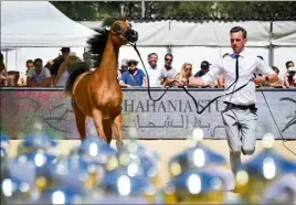  ?? (Archive Photo Mickaël Alesi) ?? Le championna­t des pur-sang arabes se déroulera les 25 et 26 juin au stade Rondelli, dans le quartier de Garavan.