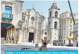  ??  ?? HAVANA: A cat is seen on Havana’s Cathedral Square. Havana’s Cathedral Square is one of the places most frequented by tourists in the Cuban capital, now isolated by restrictio­ns imposed by authoritie­s to fight the spread of COVID-19 in the area. —AFP