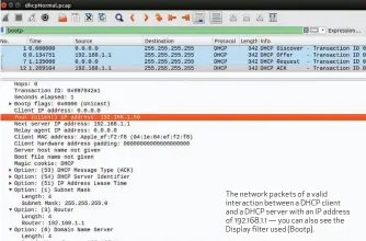  ??  ?? The network packets of a valid interactio­n between a DHCP client and a DHCP server with an IP address of 192.168.1.1 — you can also see the Display filter used (Bootp).