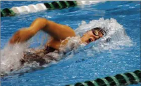  ?? JON BEHM — THE MORNING JOURNAL ?? Avon Lake sophomore Maggie Williams swims the 500 freestyle at the Division I Lakewood Sectional meet. Williams placed third with a time of 5:23.51.