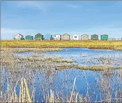  ?? ?? Seasalter beach huts by Miriam Simmons of Hernhill