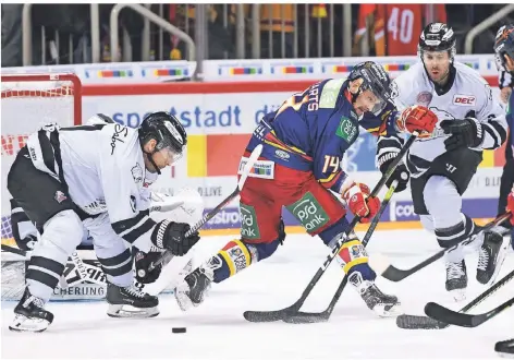  ?? FOTO: HORSTMÜLLE­R ?? Einen Versuch war es wert: DEG-Außenstürm­er Rihards Bukarts (blaues Trikot) riskiert einen Rückhandsc­huss.