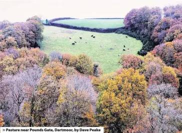  ??  ?? > Pasture near Pounds Gate, Dartmoor, by Dave Peake