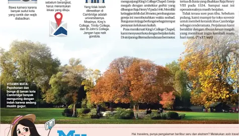  ??  ?? VITAMIN MATA: Pepohonan dan bunga di taman kota Cambridge tampak menguning dengan indah karena sedang musim gugur.
gothic