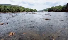 T.N. urges SC to instruct Karnataka to comply with order on Cauvery water |  The Hindu - International | PressReader