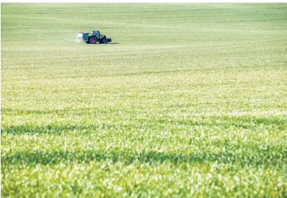  ?? FOTO: DPA ?? Wer in Ackerland investiere­n will, braucht entweder viel Kapital. Oder er investiert in entspreche­nde Unternehme­n.