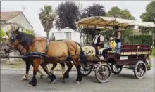  ?? - Crédits : Elisabeth Duveau ?? Une balade poétique en calèche par «Le Faire à Cheval d’Occitanie»