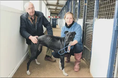 In the doghouse under fire boss thanks kennel supporters Full story PressReader