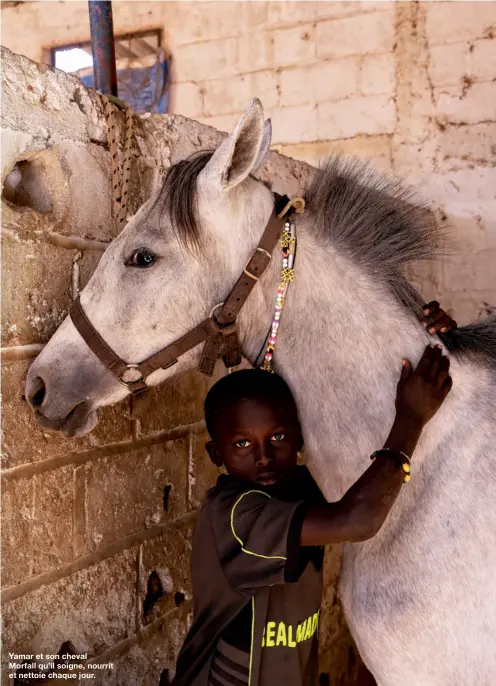  ??  ?? Yamar et son cheval Morfall qu’il soigne, nourrit et nettoie chaque jour.