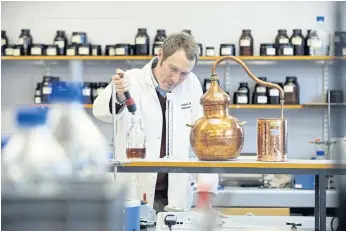  ??  ?? A DAB OF THIS: Assistant professor of distilling Matthew Pauley works at the Internatio­nal Centre for Brewing and Distilling at Heriot-Watt University in Edinburgh.