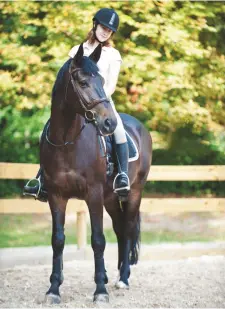  ??  ?? The research indicates that aggressive horses have a stronger “whole-body strike on the ground,” a characteri­stic of locomotion that visually gives the impression of a “jerky” gait.