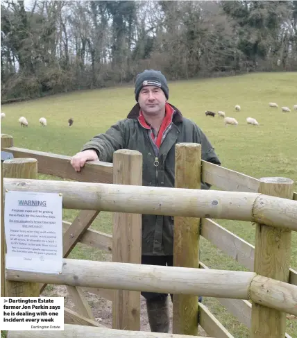  ?? Dartington Estate ?? > Dartington Estate farmer Jon Perkin says he is dealing with one incident every week