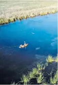  ??  ?? Kayaking on the Mississipp­i Delta, in a ‘steamy land of bayous and vestigial forest’