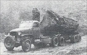  ??  ?? How did they get this giant log on the back! Logs this size were hauled from the Rimu Block to mills in Taupo, Cambridge, Taumarunui and Te-Poi.