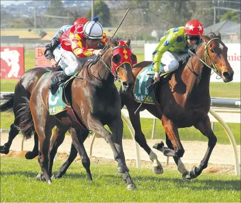  ?? Picture: David Thorpe/Racing Photos ?? Full steam: Full Ahead, ridden by Jason Maskiell, won her second race in thrilling fashion at Wodonga.