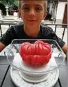  ??  ?? Der siebenjähr­ige Moritz hat eine Riesentoma­te geerntet. Sie wiegt 640 Gramm. Wer erntet die größte Tomate Thüringens, fragt Gerhard Mahler aus Krautheim (Kreis Weimarer Land).