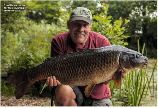  ??  ?? Stealth accounted for this stunning summer carp.