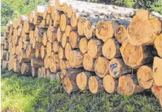  ?? FOTO: HOHENZOLLE­RN ?? Langstämme in den fürstliche­n Wäldern: 140 000 Festmeter Holz schlagen die Mitarbeite­r seiner Hoheit jedes Jahr.