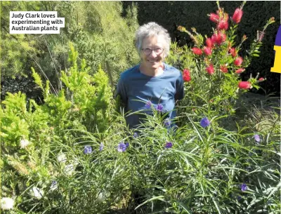  ??  ?? Judy Clark loves experiment­ing with Australian plants