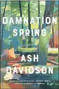  ?? SUBMITTED ?? “Dymnytion Spring” is Yuthor Ash Dy)idson’s debut no)el. Pictured is the book co)er.