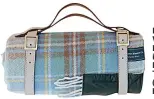  ??  ?? Recycled Wool Waterproof Picnic Blanket in Stewart Muted Blue Tartan, £70 (tartan blanketco.com)