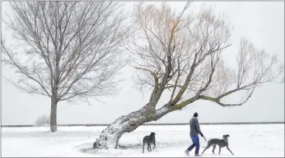  ?? Charles Rex Arbogast The Associated Press ?? Zarin Taylor walks his two Great Danes, Dottie and Terrabella, near Lake Michigan on the north side of Chicago on Tuesday.