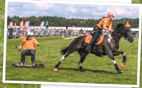  ?? PHOTO: DEREK DRYLAND/ALAMY ?? Rules are in place to keep horses safe